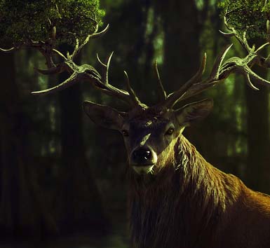 智能流量控制的ddos在线网页端